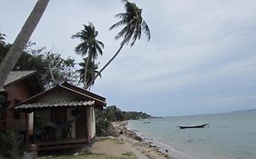 Bird Bungalows